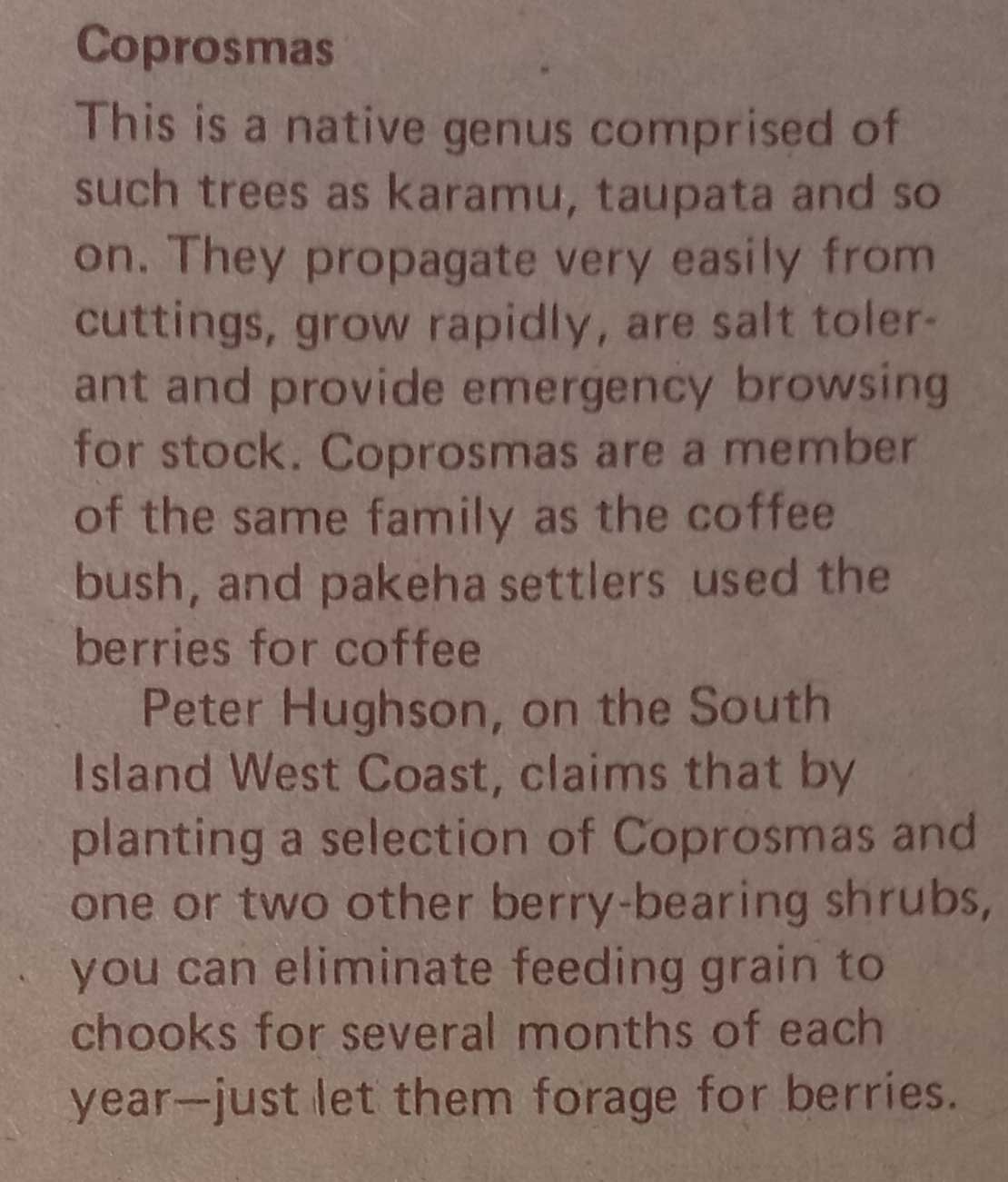 Coprosma in the New Zealand Whole Earth Catalogue