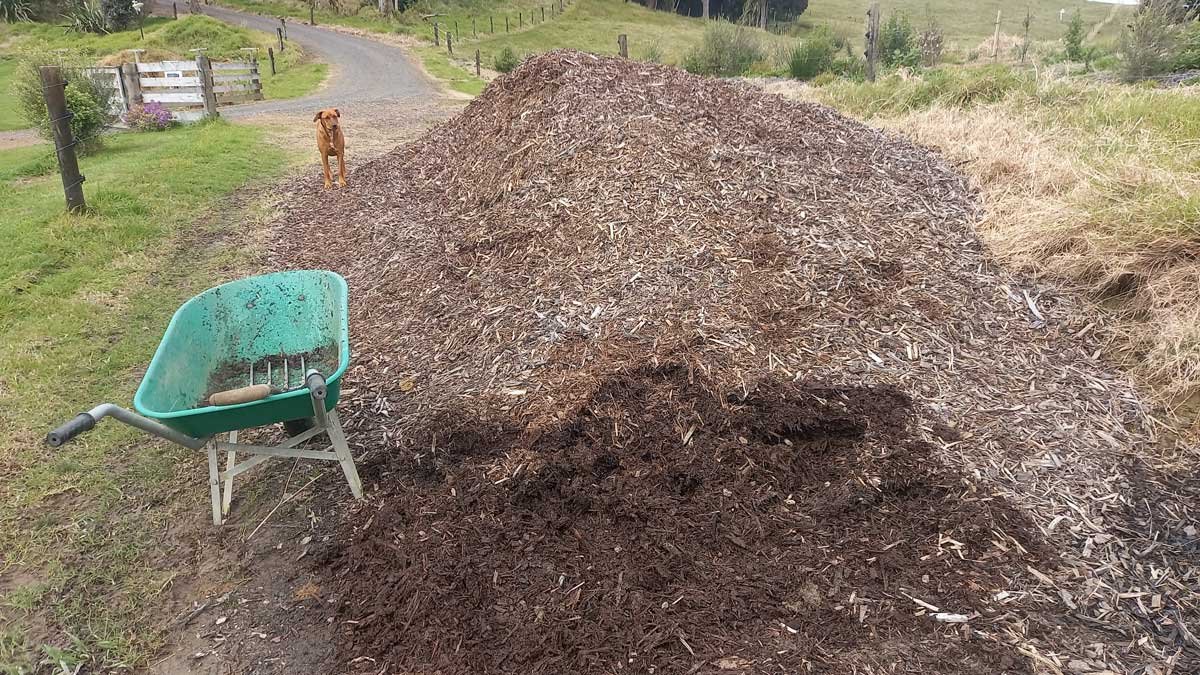 The mulch pile after removing 3 loads