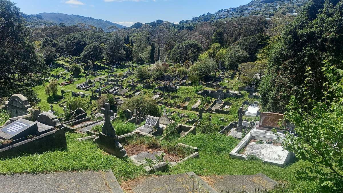 Looking out into the Roman Catholic section of Karori Cemetery