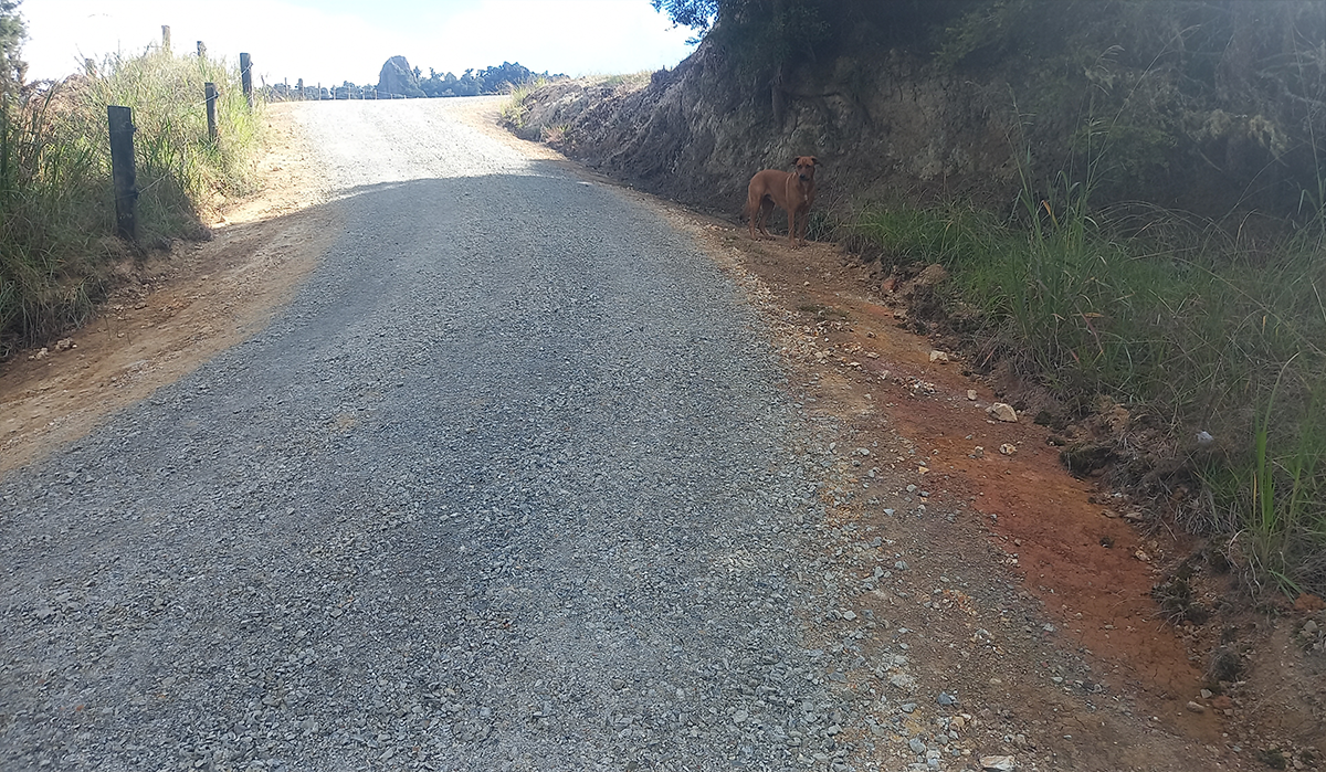 Looking up to the corner after work was completed.