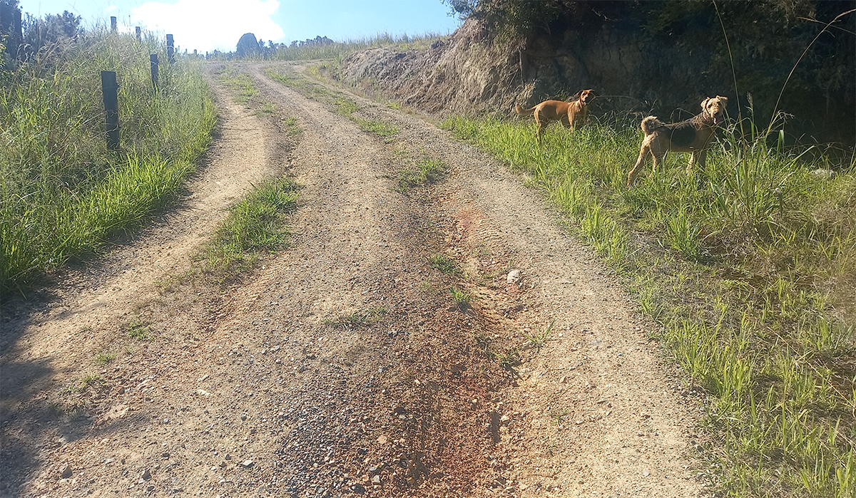 Looking up to the corner before work started.
