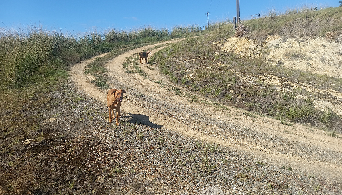 Looking up around the corner before work started.