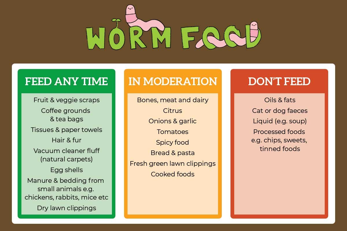 Worm food diagram
