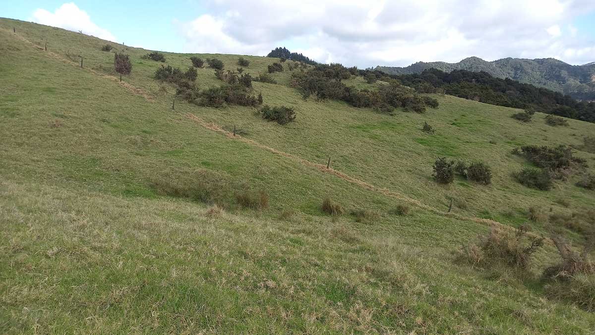 The fence between two paddocks where the lower-line has been taken over by grass.