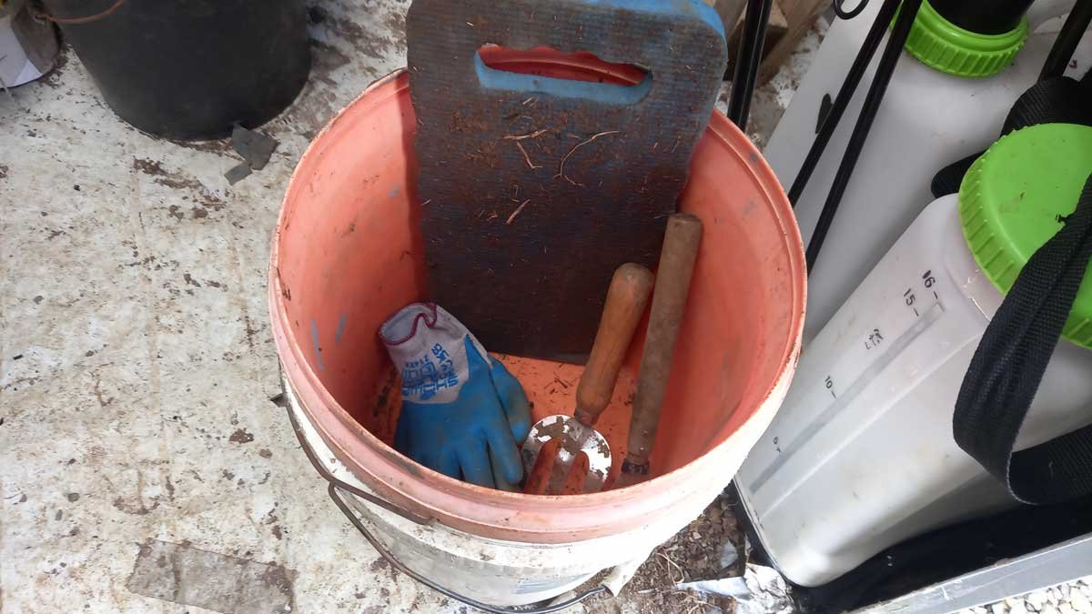 A faded orange bucket containing a kneeling pad, blue gloves, a niwashi knife and a hand fork.