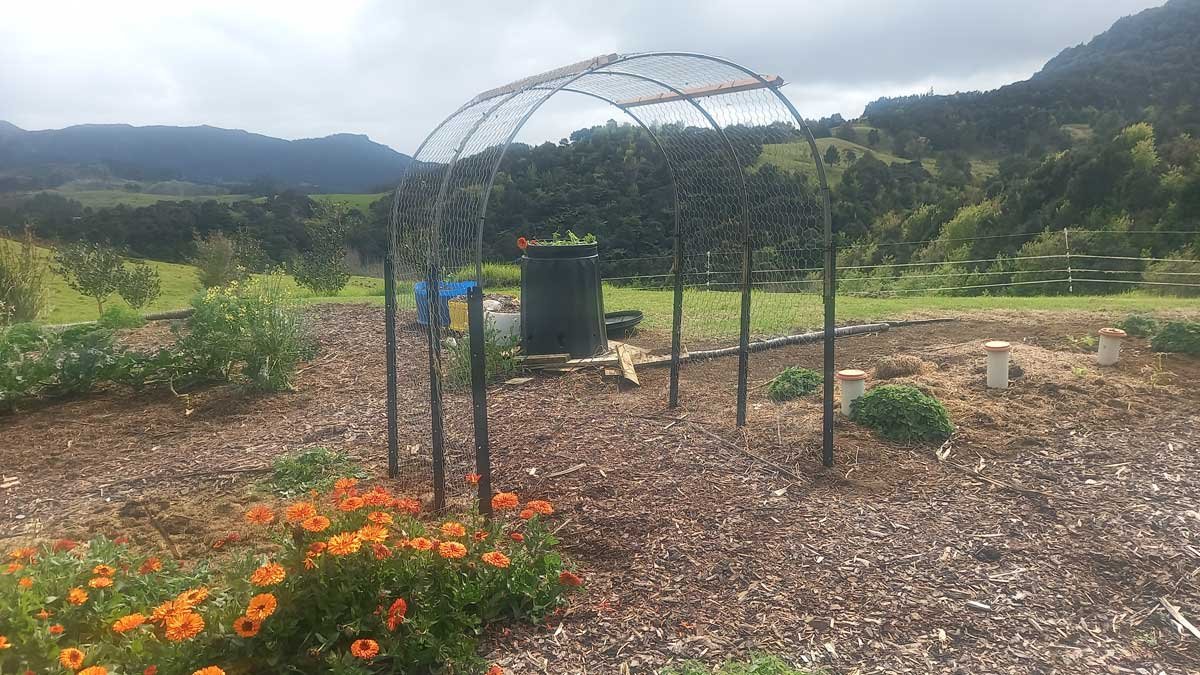 A completed (but empty) garden arch.