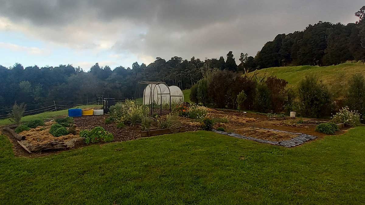 Looking at my garden, September 2024