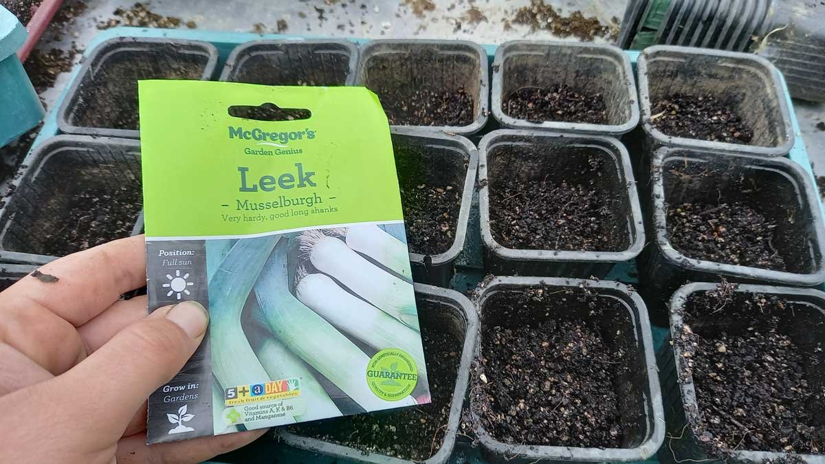 A packet of leek seeds in front of seed punnets filled with seed-raising mix