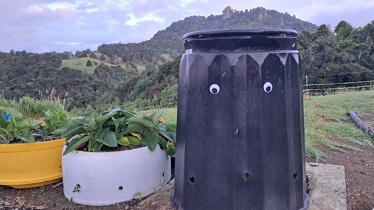 Compost bin with googly eyes