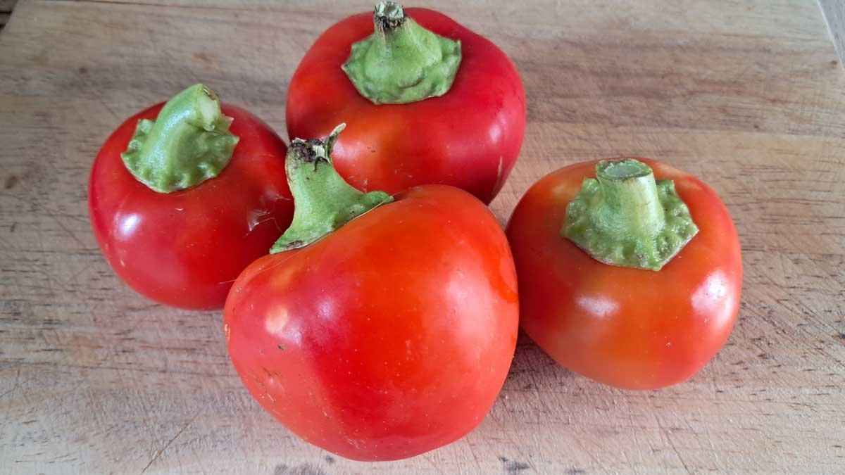 Four red paprika fruit sitting on a wooden board.