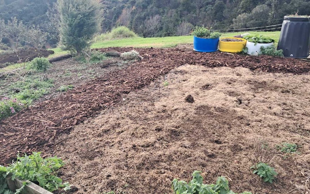 Upgrading the garden paths
