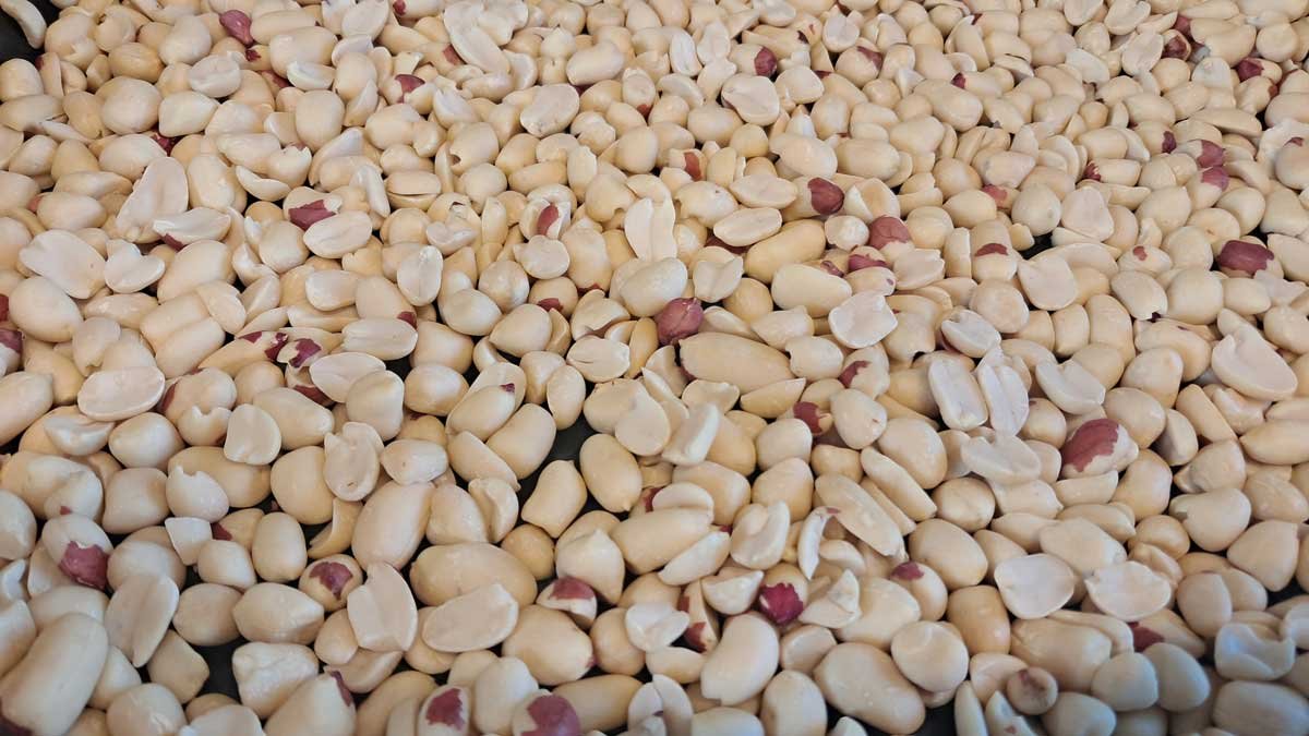 Peeled peanuts in a tray.