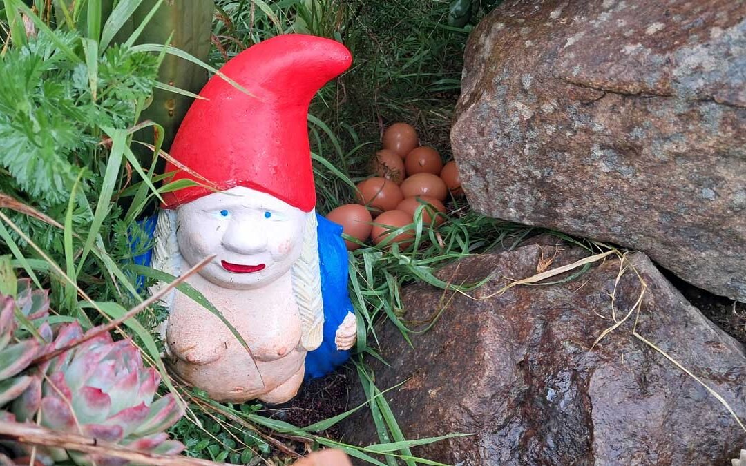 A blonde gnome flashes what's below her blue robe in a weedy garden beside some rocks. Behind her is roughly a dozen eggs.