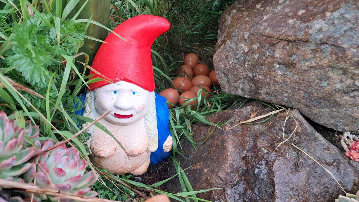 A blonde gnome flashes what's below her blue robe in a weedy garden beside some rocks. Behind her is roughly a dozen eggs.