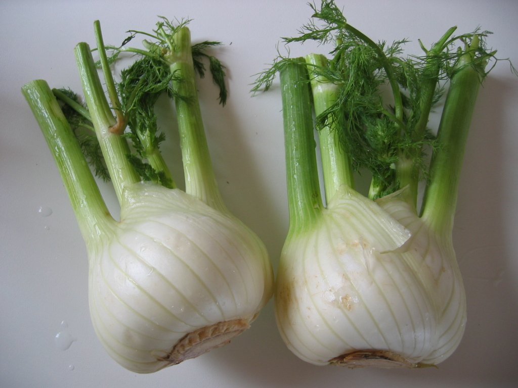 Florence Fennel bulbs (Image public domain via Wikimedia Commons user Arnaud 25) Florence Fennel bulbs (Image public domain via Wikimedia Commons user Arnaud 25)