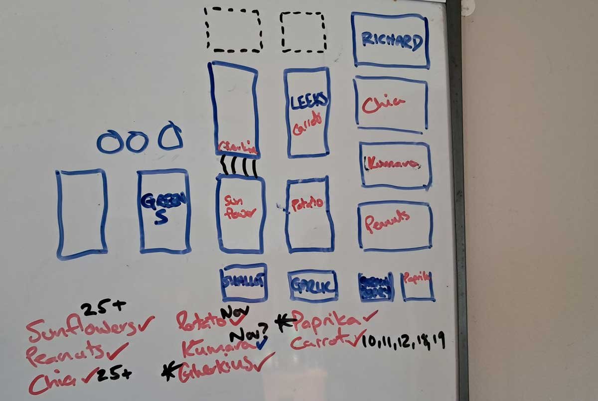A whiteboard garden plan.
