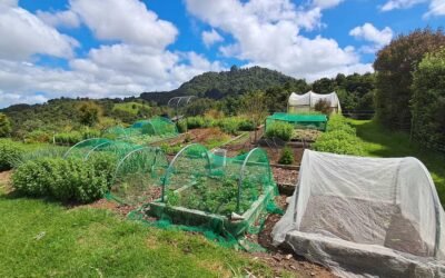 Garden planning with GardenBox 3D