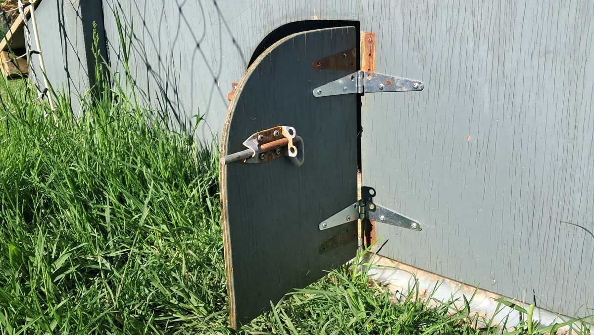 Replacement hinges on the chicken door.