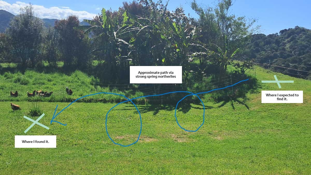 The estimated path we believe the coop took.