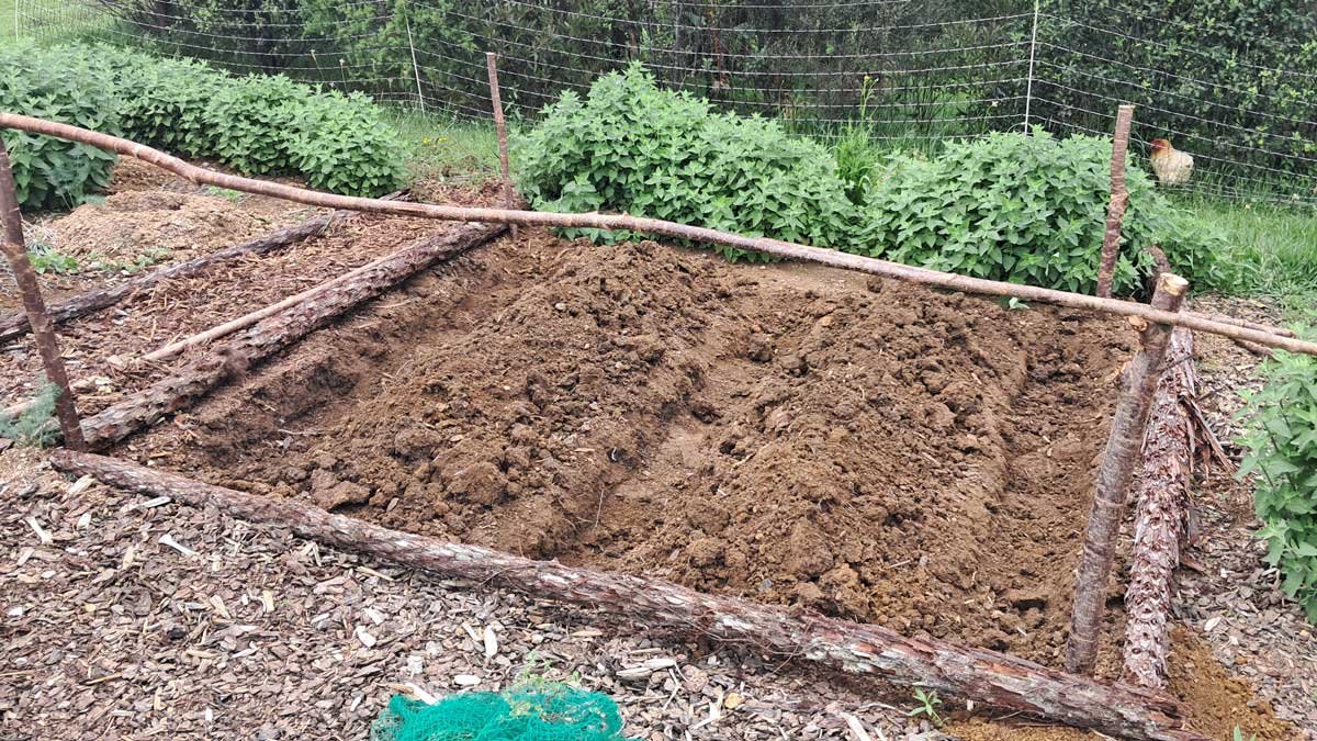 Garden bed with trenches dug, vertical posts in, and the first horizontal post rested on top of them.