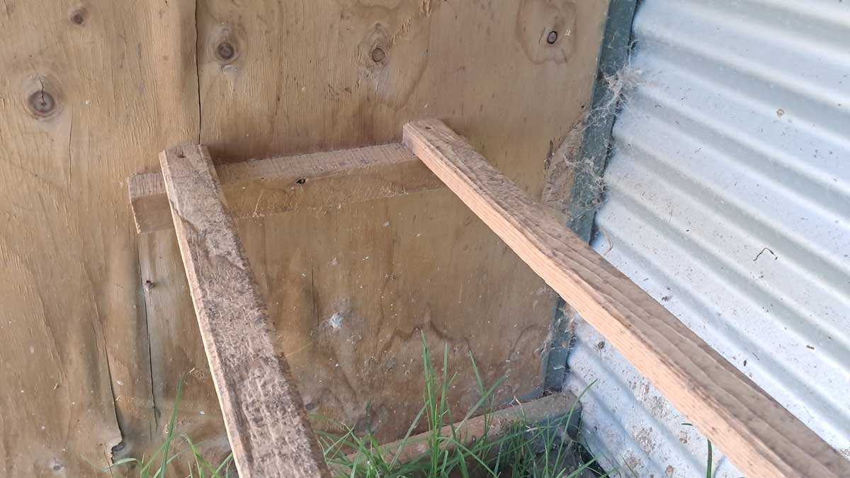 The roosting bars and damage to the inner plywood.