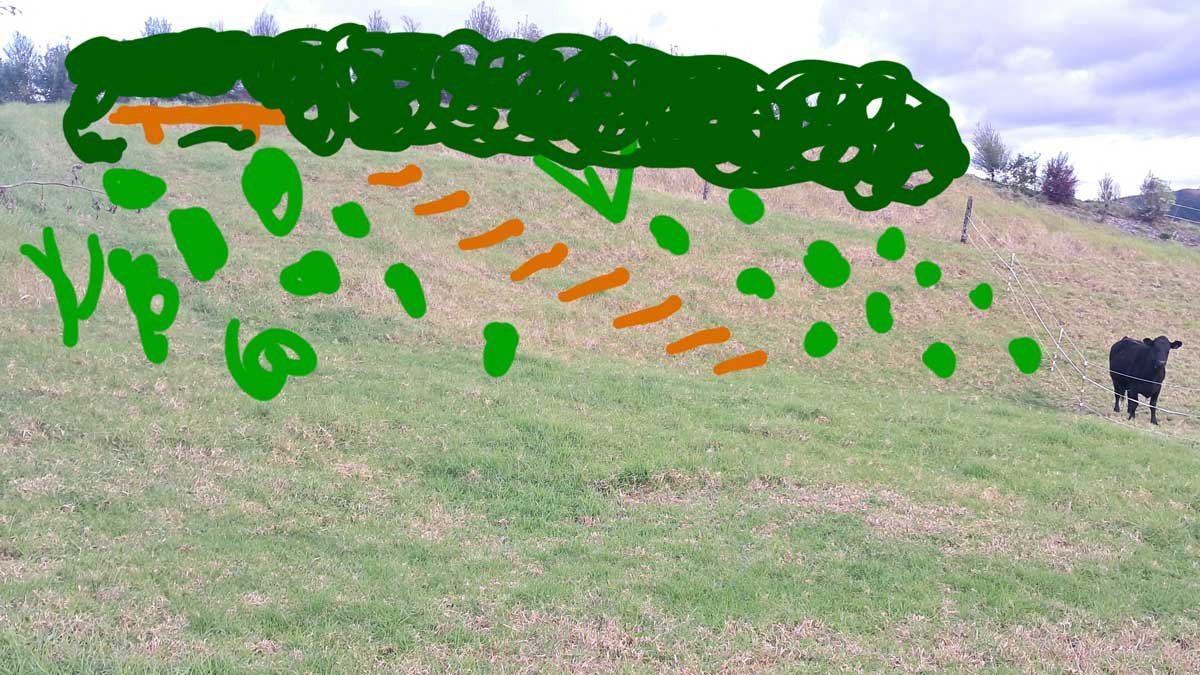 Landscaping plan including plants, a bench seat, and stairs down a hillside.