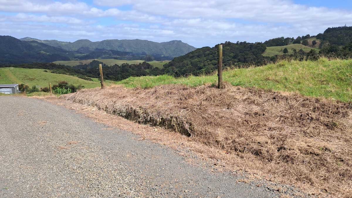 A "dead zone" beside the driveway where I'm going to re-plant my bulbs. You can see our compound down the hill.