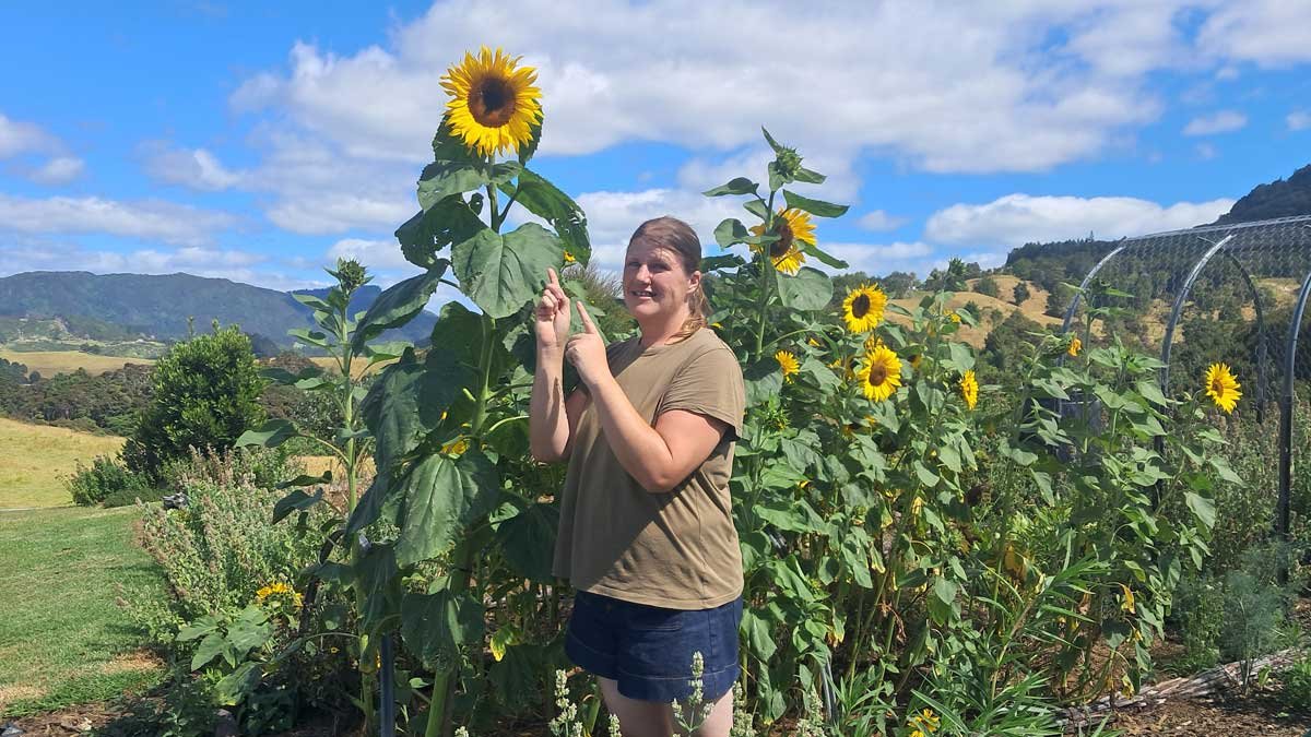Kat in the garden with this year's tallest sunflower.