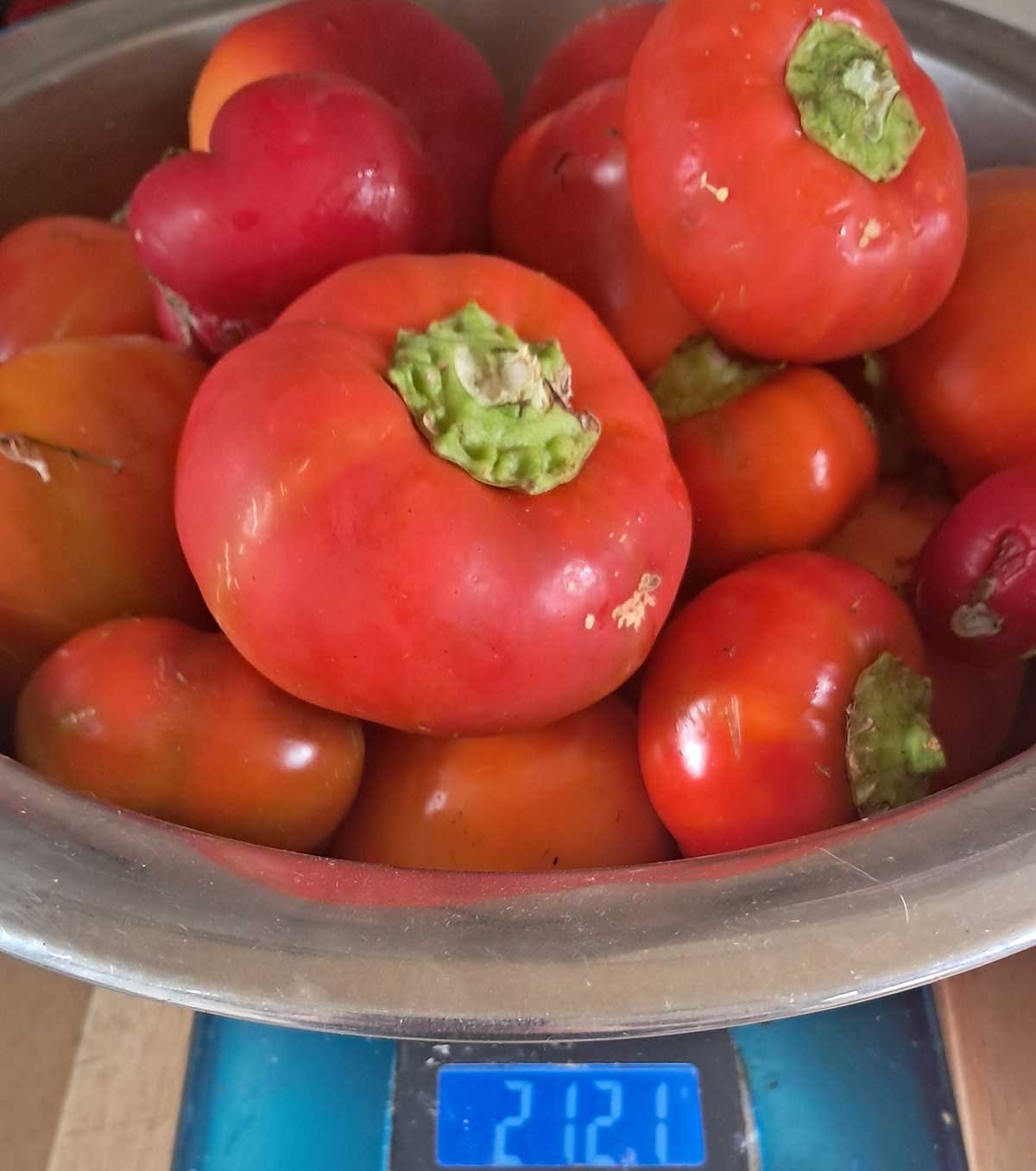 Paprika fruit on a kitchen scale reading 2121 grams.