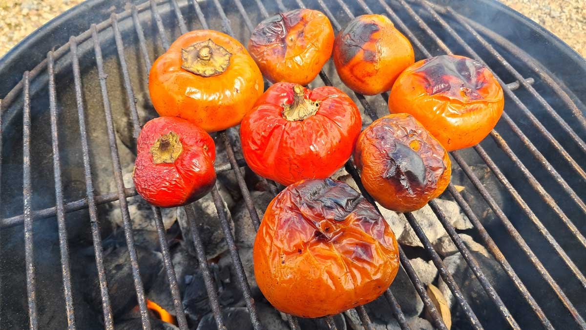 Charred paprika fruit on a charcoal barbeque grill.