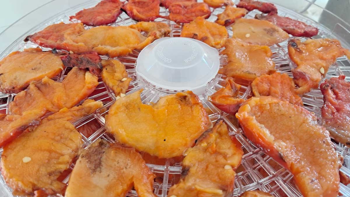 Paprika flesh in the dehydrator before dehydrating.