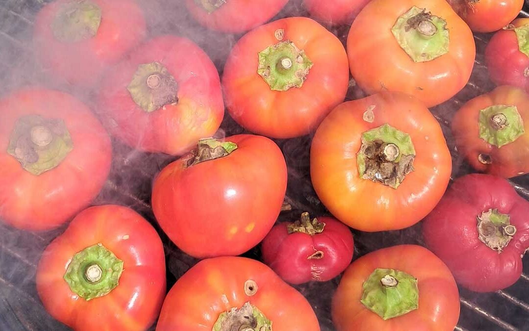 Paprika fruit on a charcoal barbeque with smoke drifting over them.
