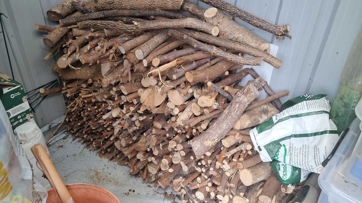 A small pile of sticks and twigs inside a garden shed.