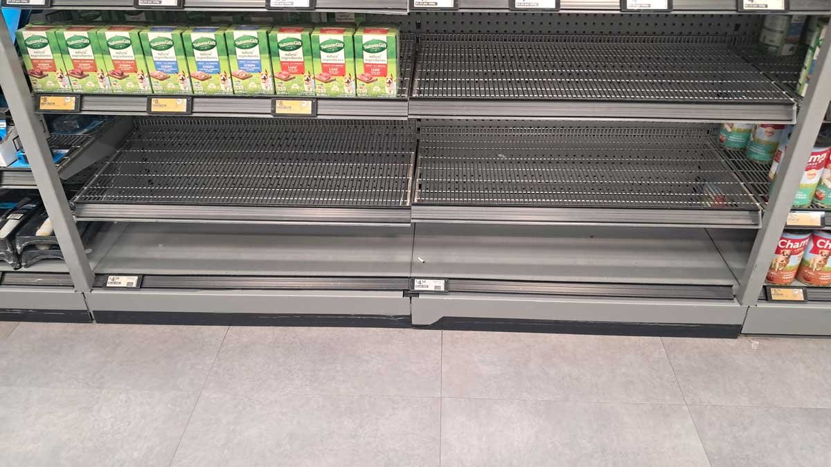 Empty supermarket shelves where the dog food usually lives, April 2026.
