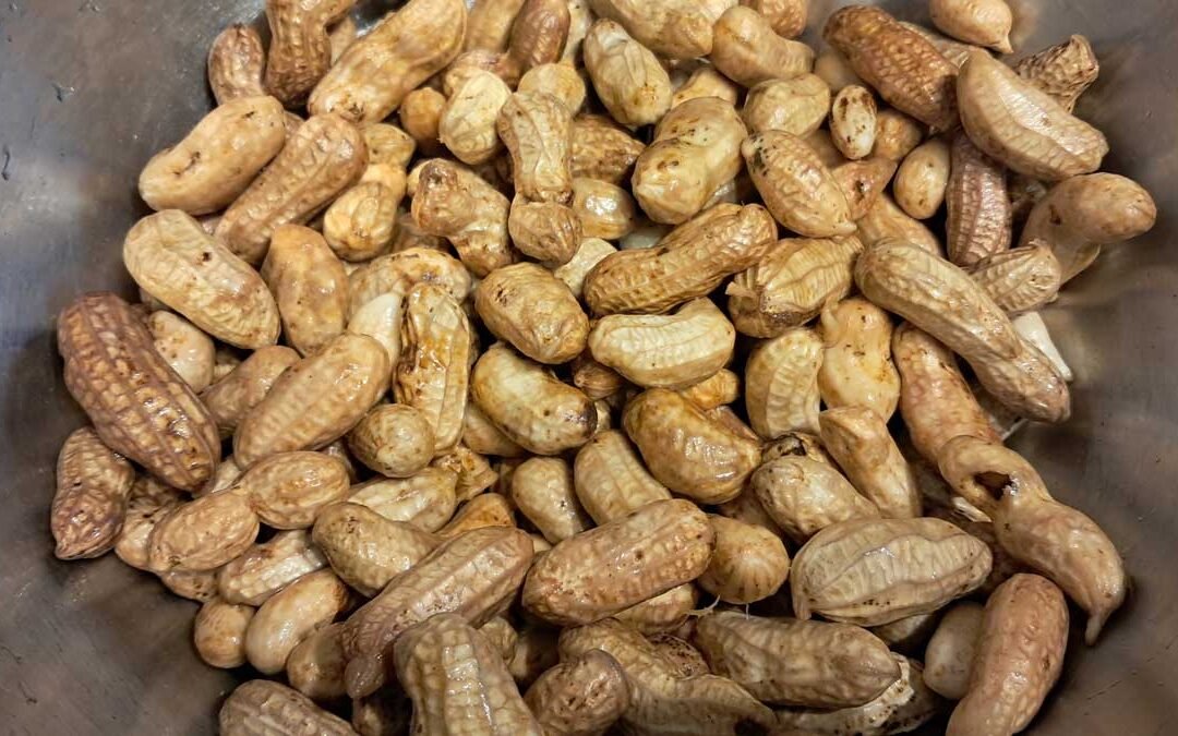A stainless steel bowl containing washed peanuts.