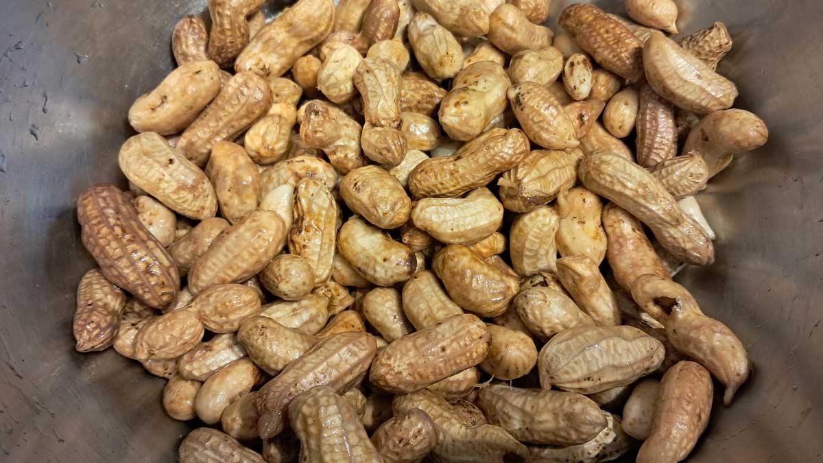 A stainless steel bowl containing washed peanuts.