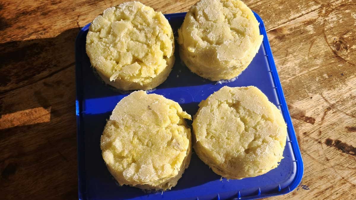 Four half-cup dollops of kūmara, frozen for free-flow on an ice cream container lid.