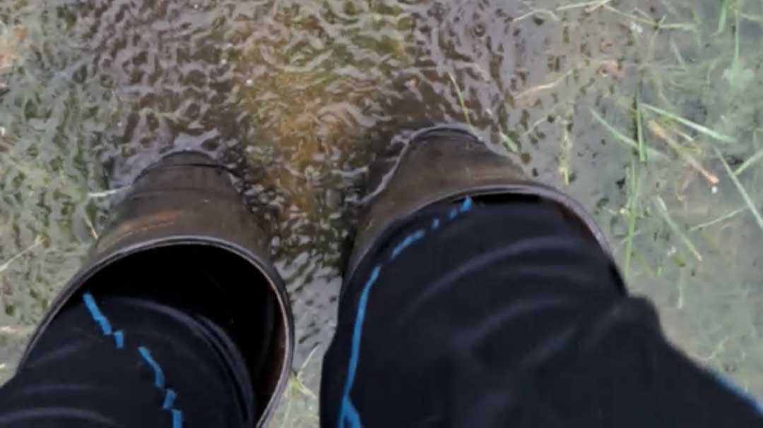 Gumboots in flood waters in one of our paddocks at The Outpost.