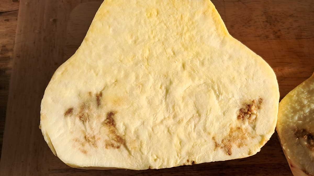 Kūmara cross-section showing brown patches.