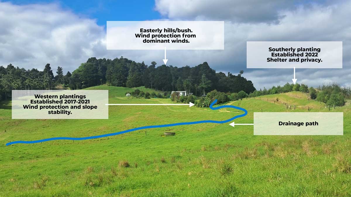 A labelled photo showing physical features and plantings which help keep us safe in a cyclone.