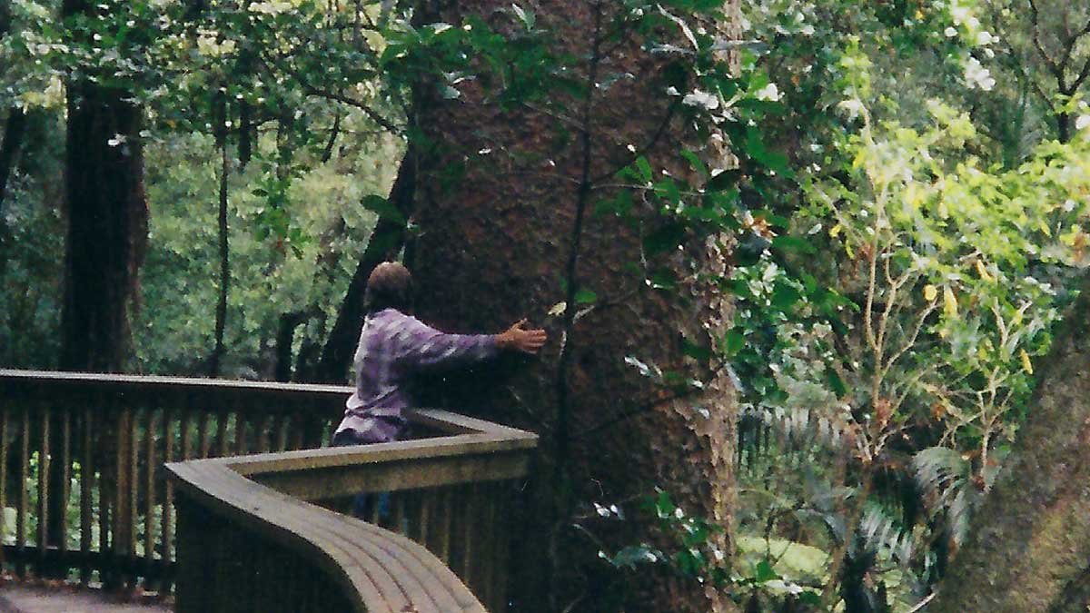Marilyn Jenkins hugging a Kauri tree in A.H. Reed Park, Whangārei, around 2005.