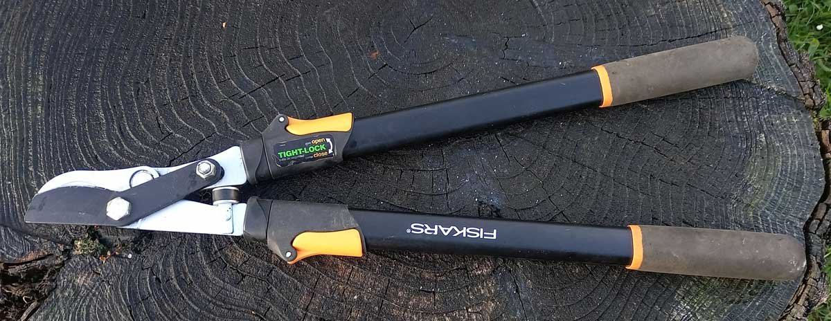 A pair of Fiskars bypass loppers. This model includes extendable handles, allowing you to reach much higher points from the ground.