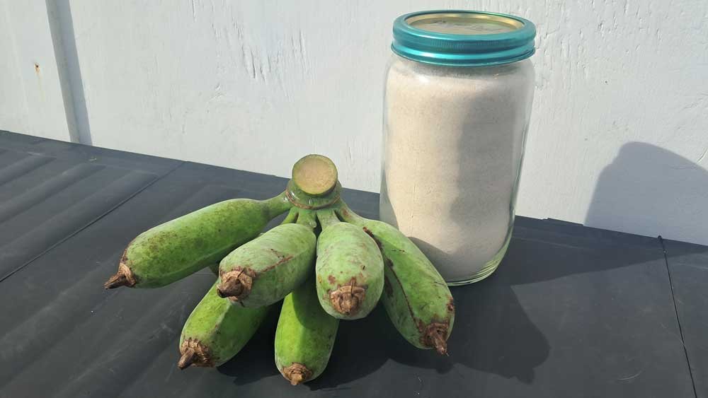 A bunch of green bananas beside a jar of green banana flour.