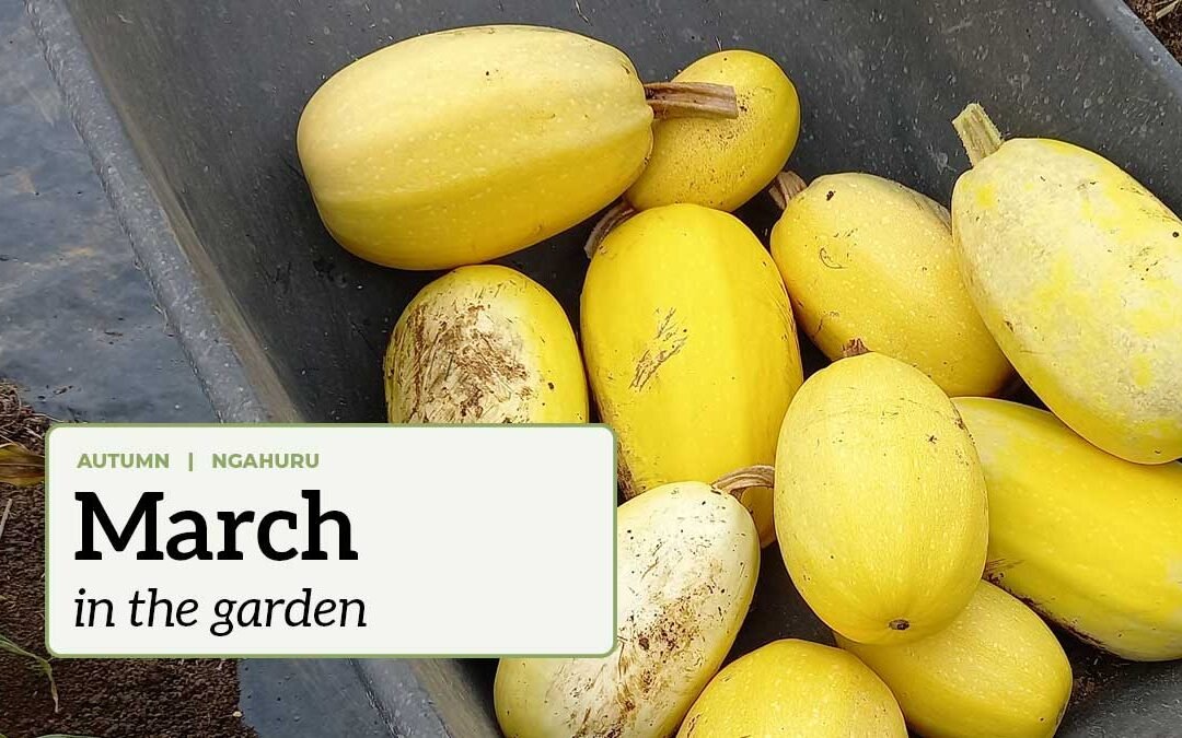 March in the garden
