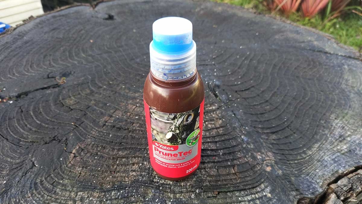 Yates Pruntec sealing paste.