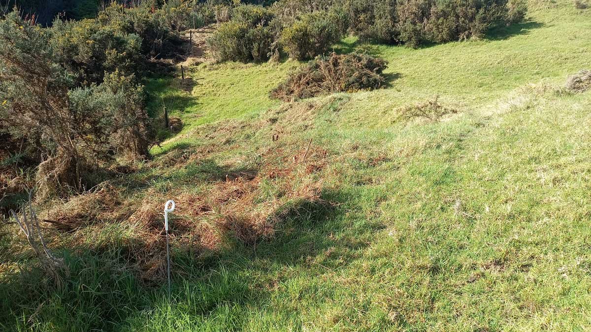Showing the cleared gorse, both as empty space and as a big pile of clippings left to rot down. Showing the cleared gorse, both as empty space and as a big pile of clippings left to rot down.