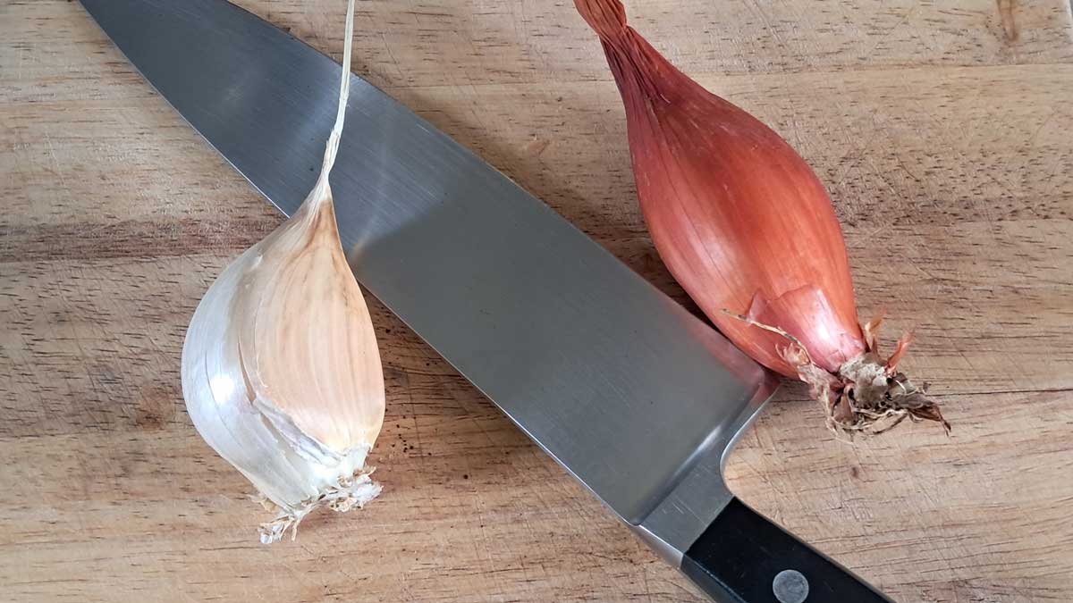 A clove of elephant garlic compared to a shallot and a chef's knife. A clove of elephant garlic compared to a shallot and a chef's knife.