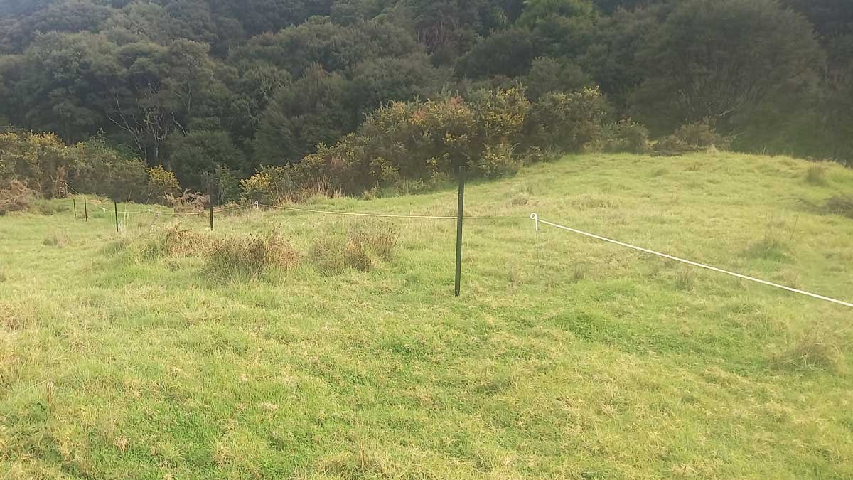 Showing the warratahs going in beside the temp-fence. Showing the warratahs going in beside the temp-fence.