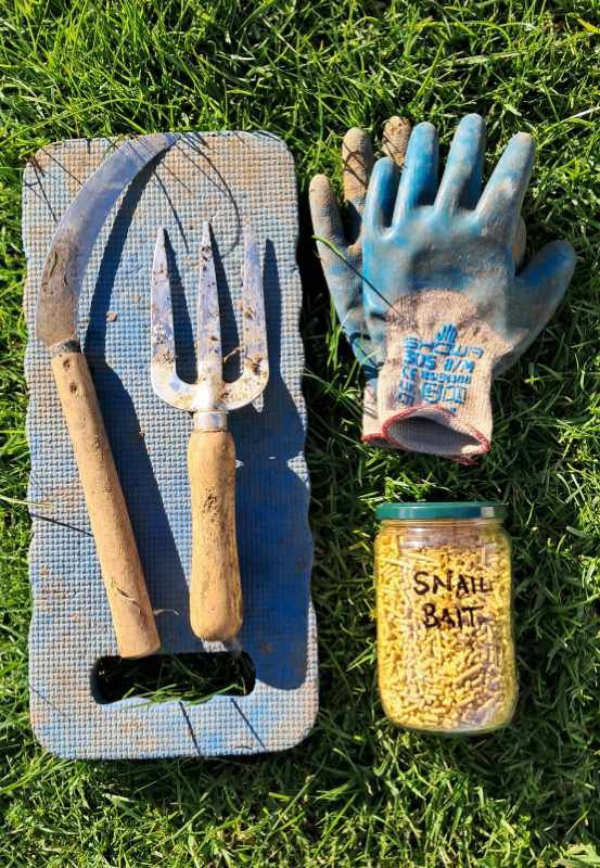 A kneeling pad, hand tools, snail bait and gardening gloves laid out on the grass. A kneeling pad, hand tools, snail bait and gardening gloves laid out on the grass.