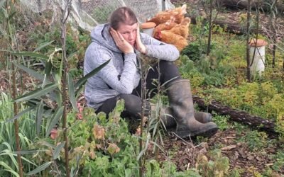 Kat looking overwhelmed in a part of the garden overrun by weeds. Kat looking overwhelmed in a part of the garden overrun by weeds.
